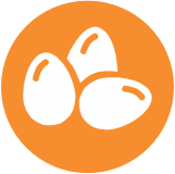 Huevos